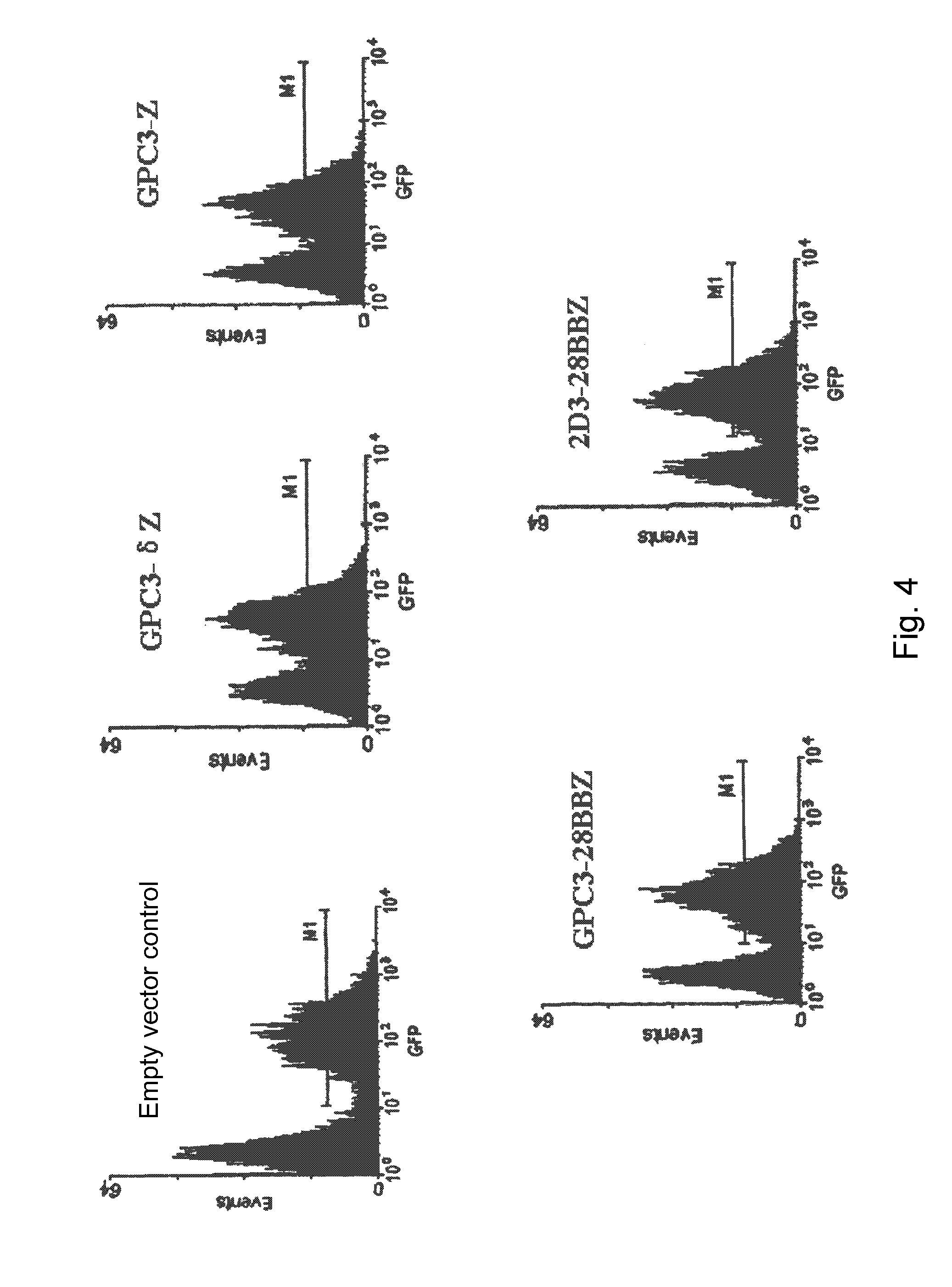 Nucleic Acid Of Coded GPC3 Chimeric Antigen Receptor Protein And T Lymphocyte Expressing GPC3 Chimeric Antigen Receptor Protein