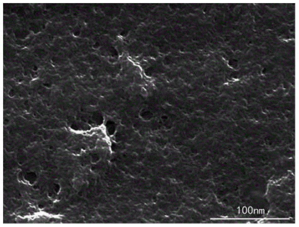 A method for detecting the presence of nanoparticles in organs and tissues