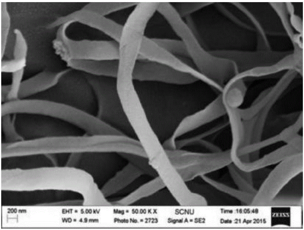 Preparation method and application of aptamer-modified chitosan nano fibers