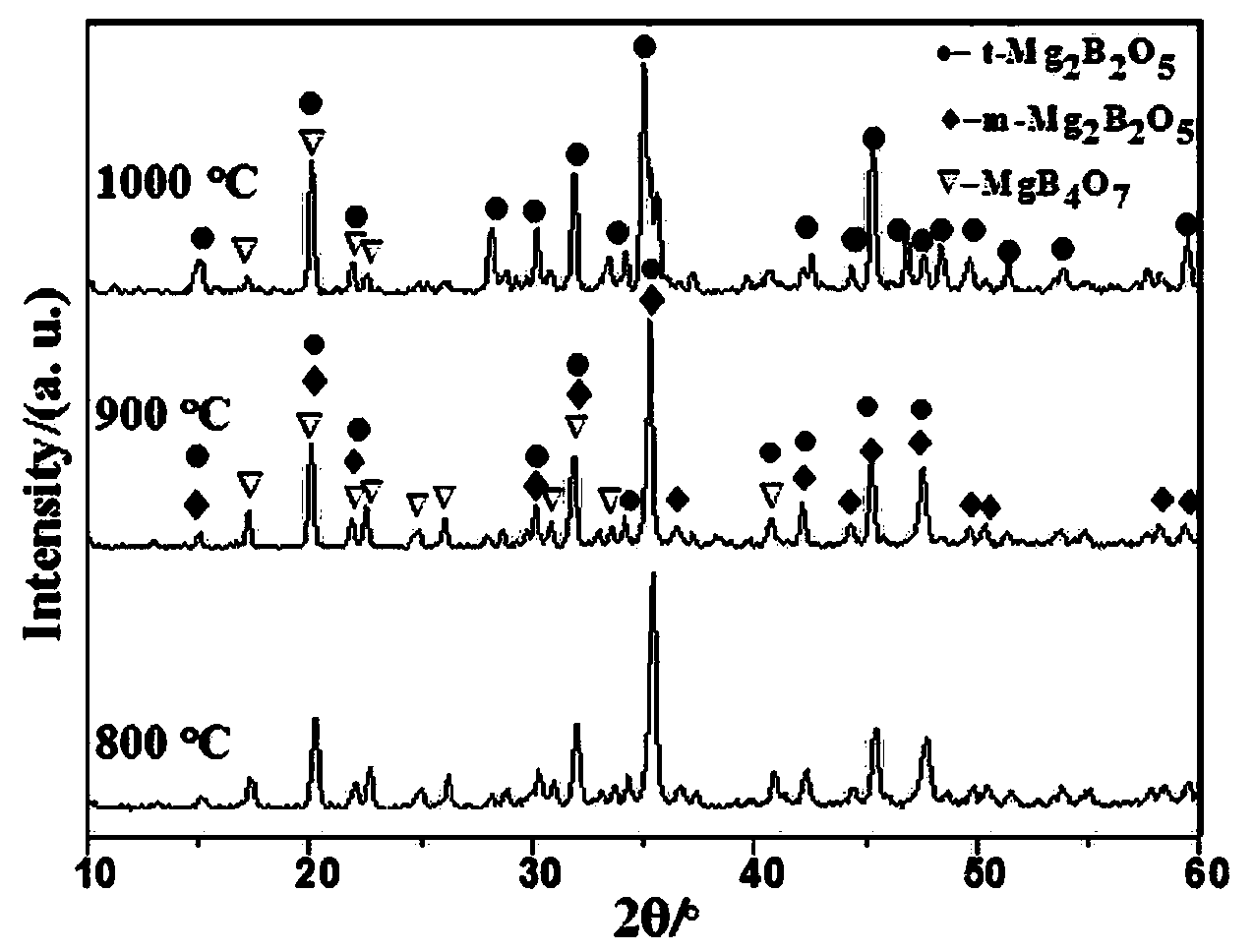 Method for preparing magnesium borate whisker porous ceramic by employing in-situ growth