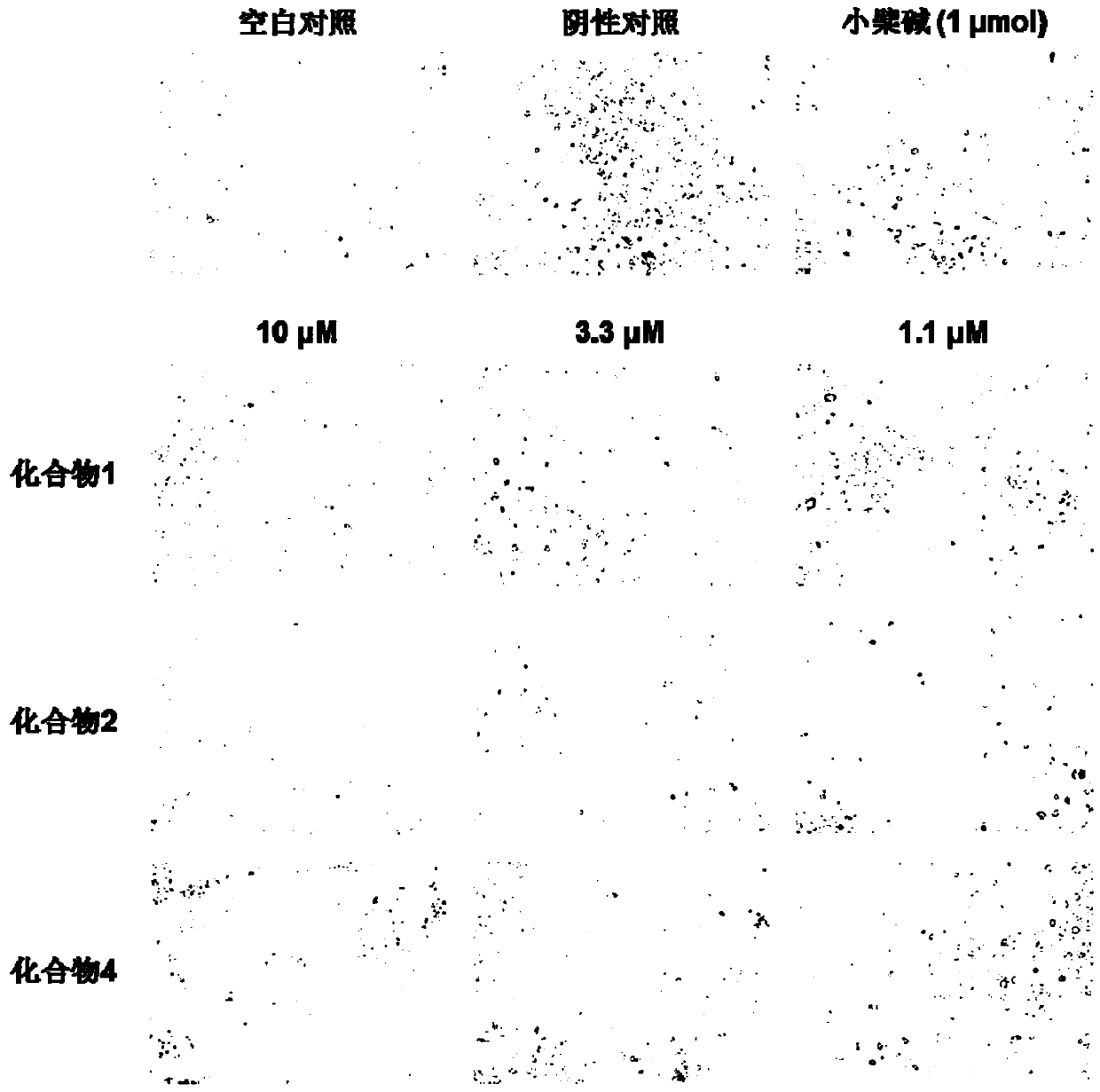 A kind of antidiabetic drug containing wild chrysanthemum extract