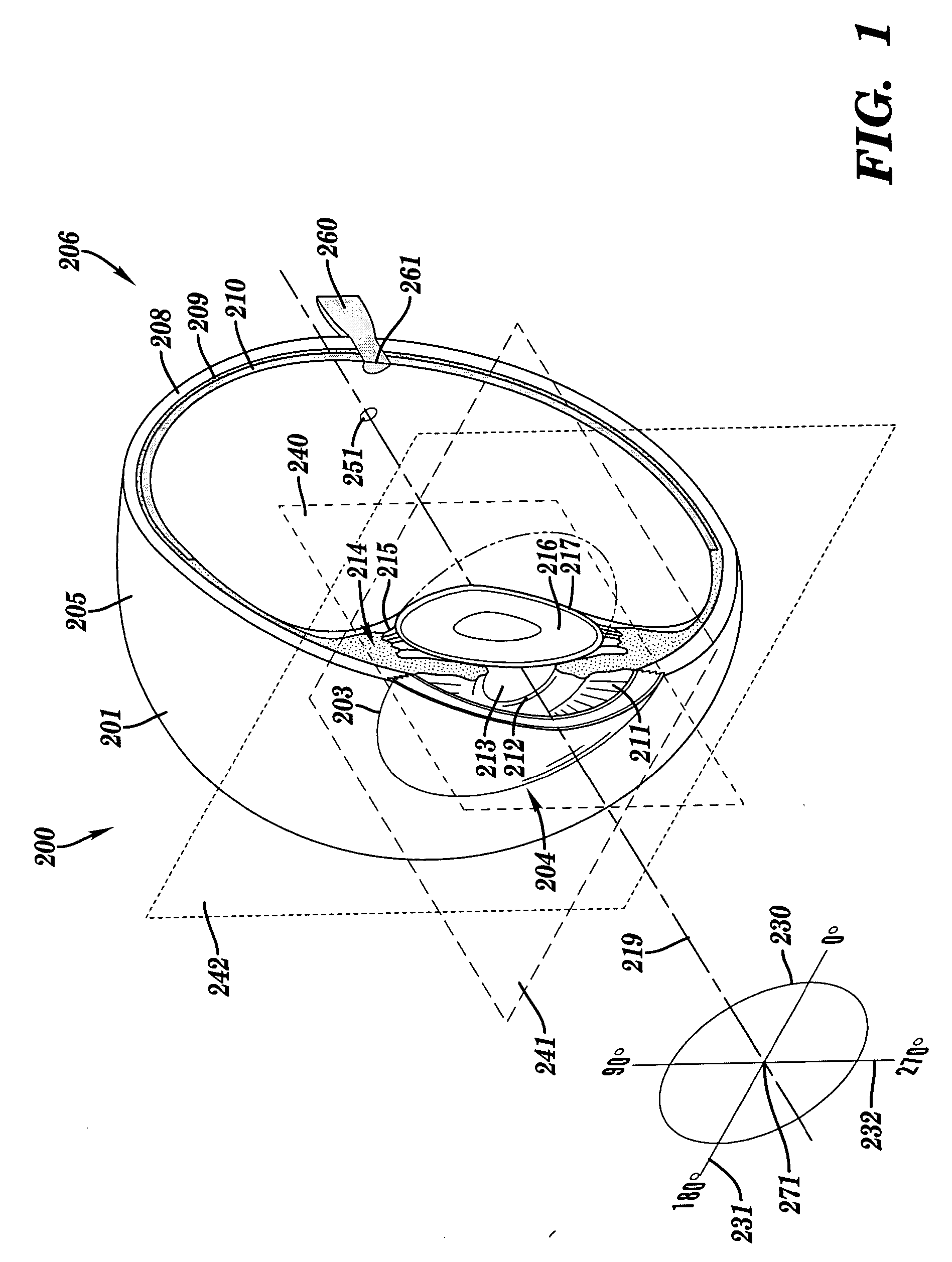 Apparatus and method for assessing retinal damage