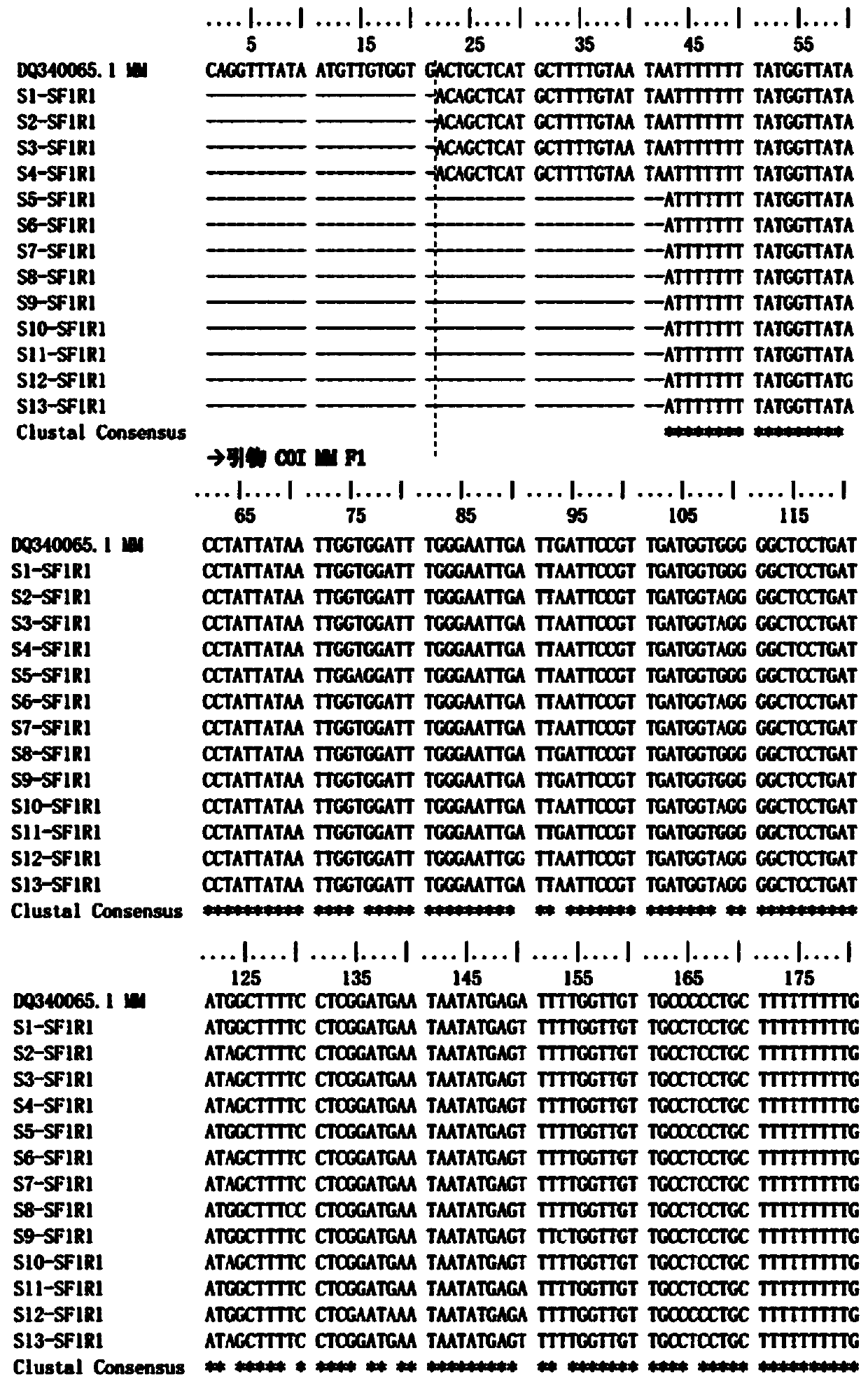 DNA molecule identification method of scorpion medicinal materials in Naoxintong preparation