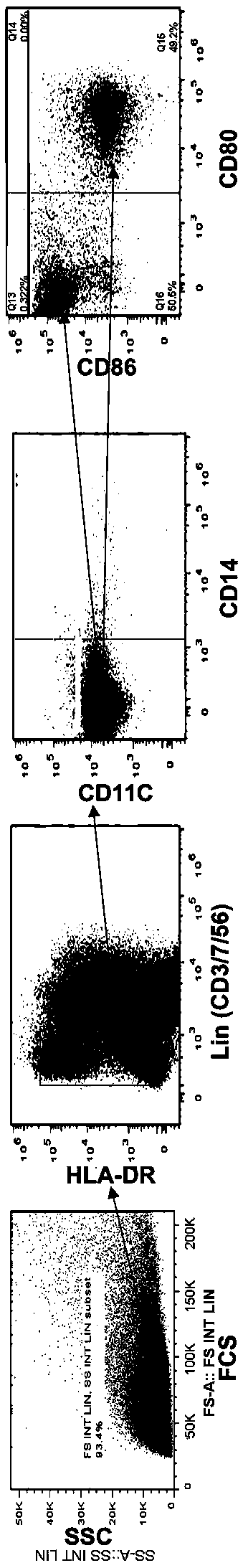 Construction method of hepatitis vaccine sensitization dendritic cell inducing specific T cell