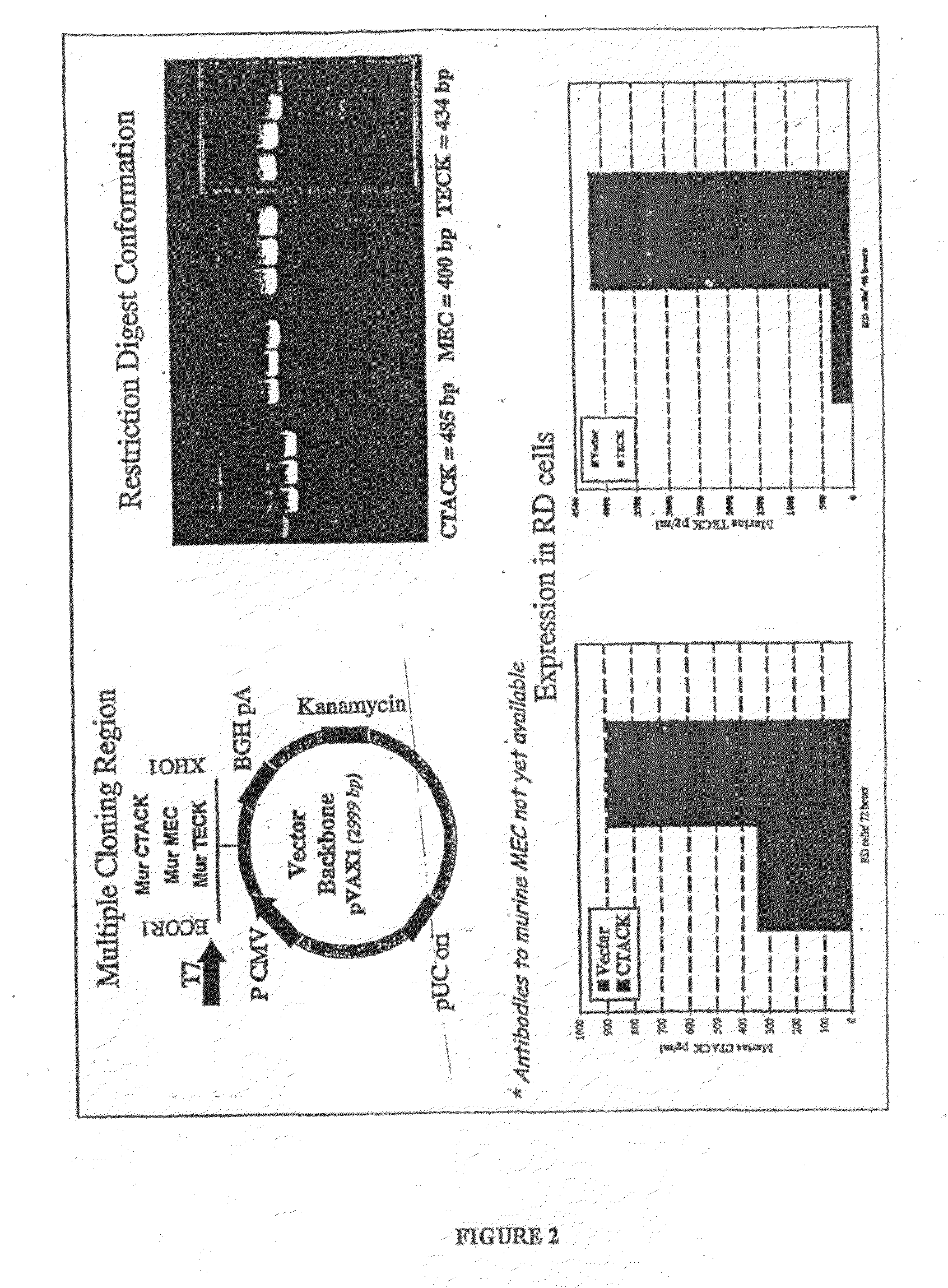 Vaccines and Methods for Using the Same