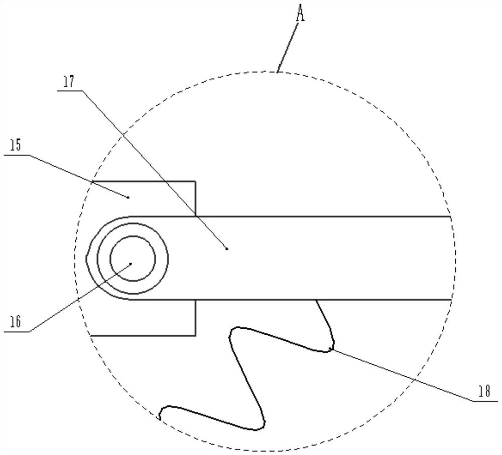 Cold water fish culture pond feeding device