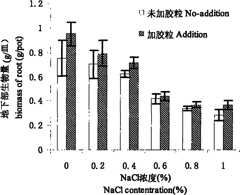 Method for improving salt resistance of lawn plant by filling soil through adopting waste colloidal particle as salt storing layer