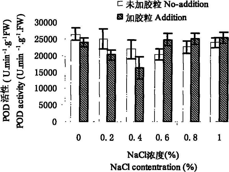 Method for improving salt resistance of lawn plant by filling soil through adopting waste colloidal particle as salt storing layer