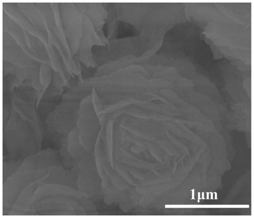 Preparation method of earthy yellow (BiO)2CO3 multistage structure microsphere