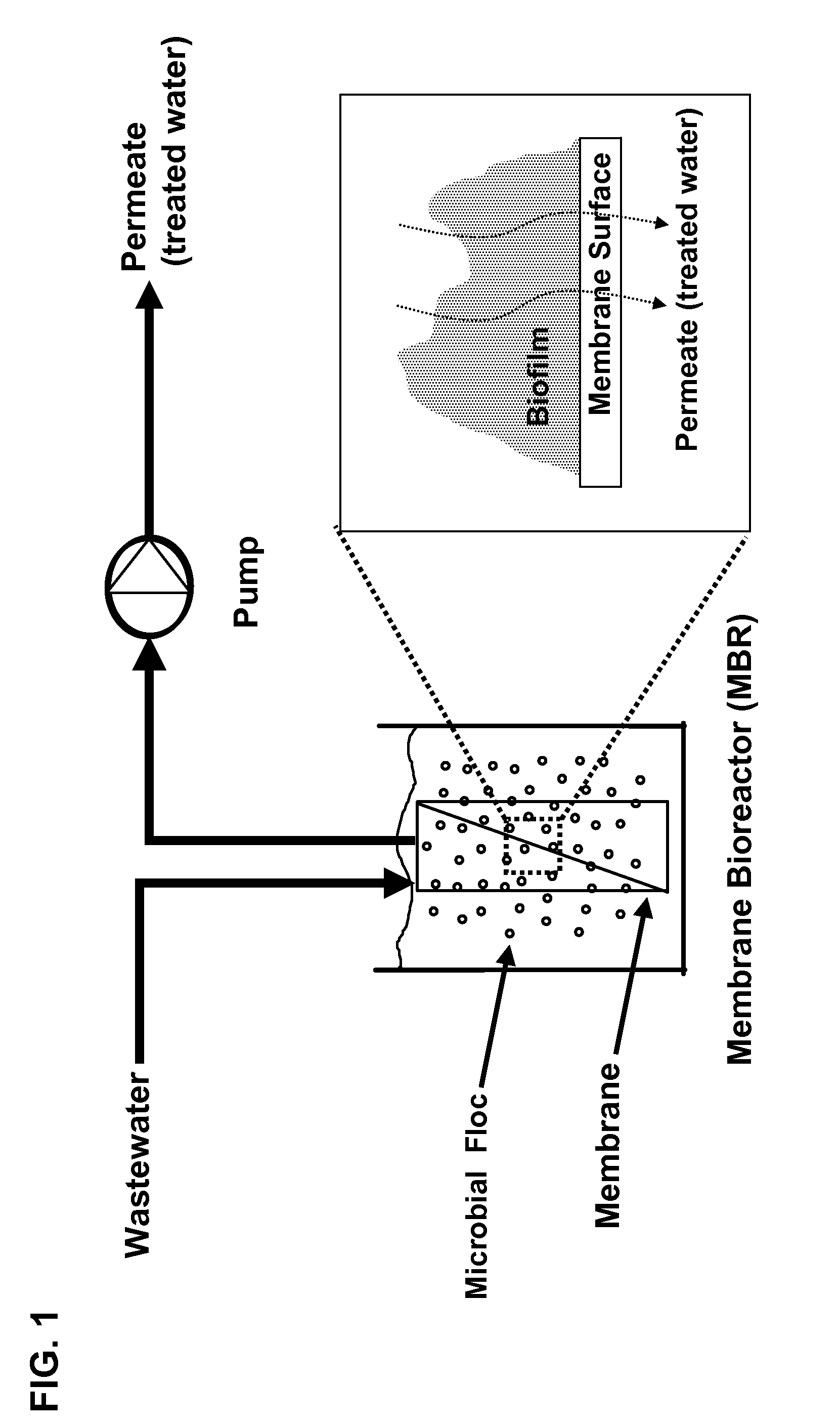 Magnetic carrier and membrane bioreactor comprising enzyme for inhibiting biofilm formation