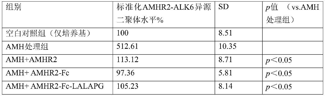 Application of AMHR2 recombinant protein or fused protein in preparation of drugs for treating AMH signal axis abnormal activation related diseases