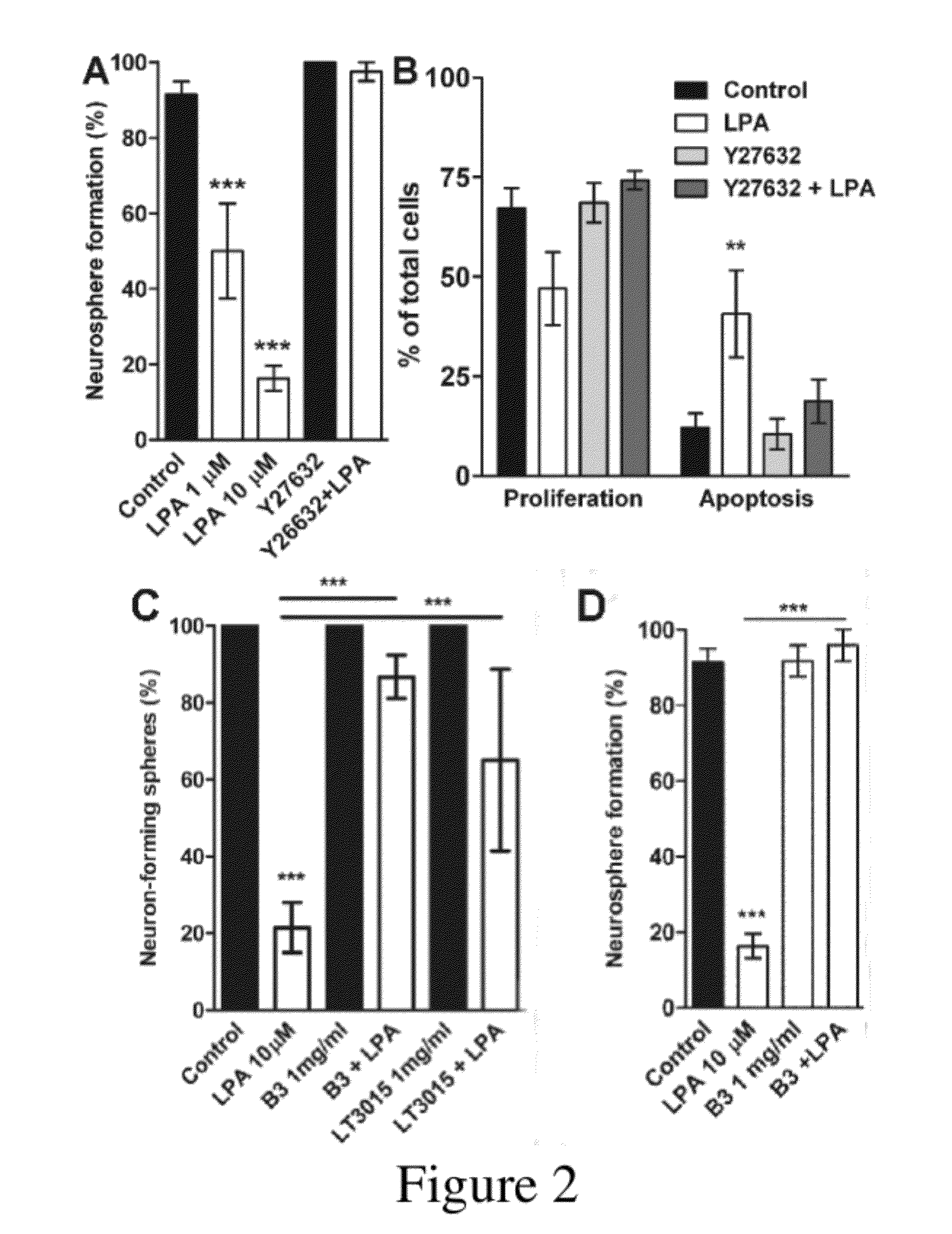 Methods of increasing neuronal differentiation using antibodies to lysophosphatidic acid