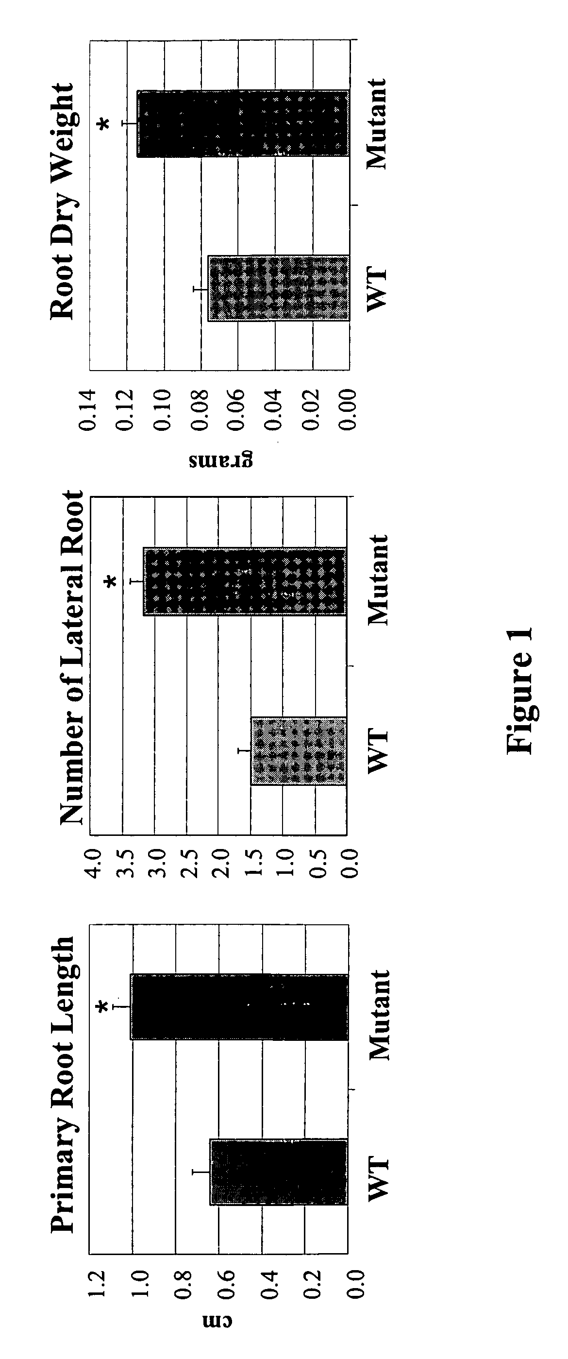 Nucleotide sequences and method of using same to increase plant stress tolerance