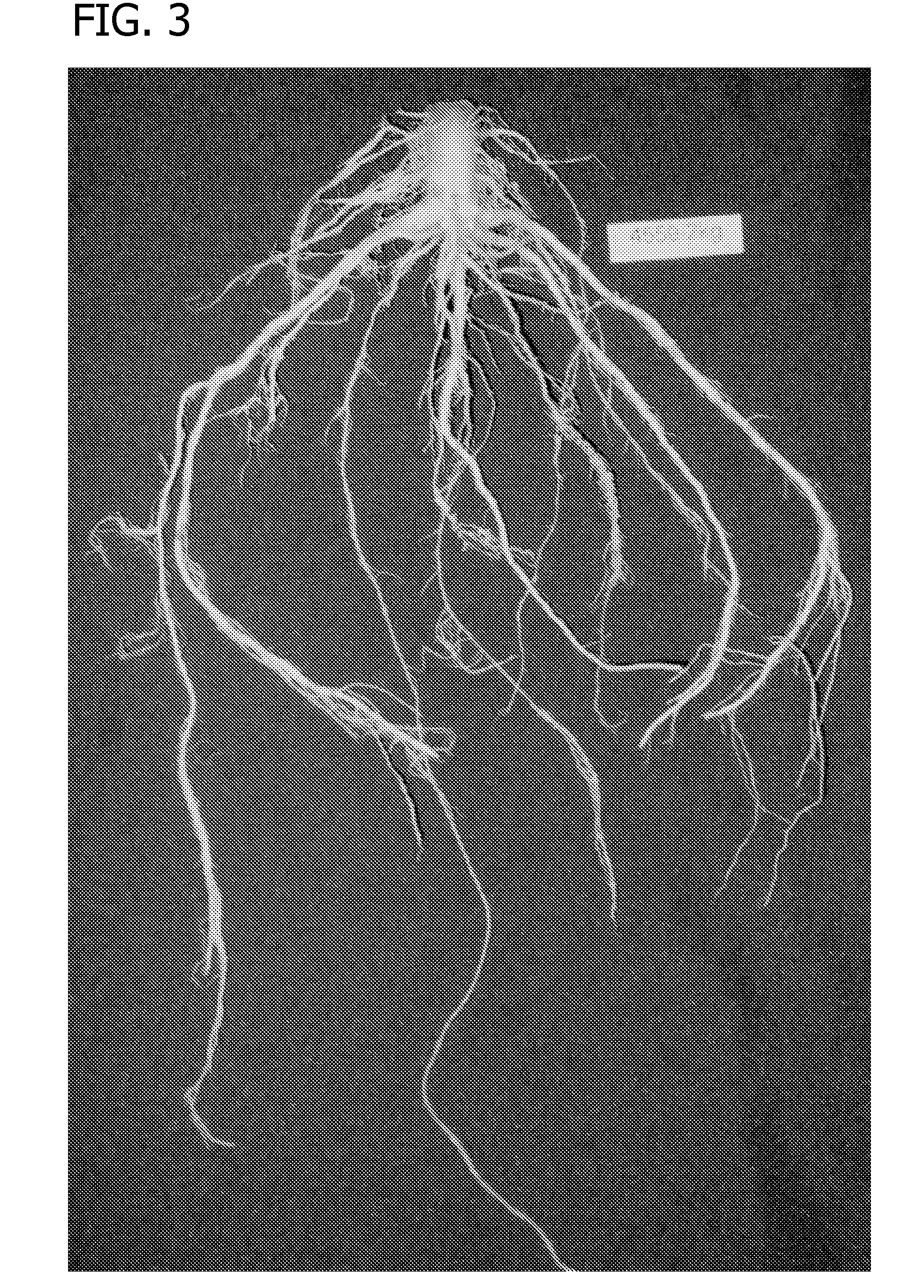 Compositions and methods for controlling nematodes
