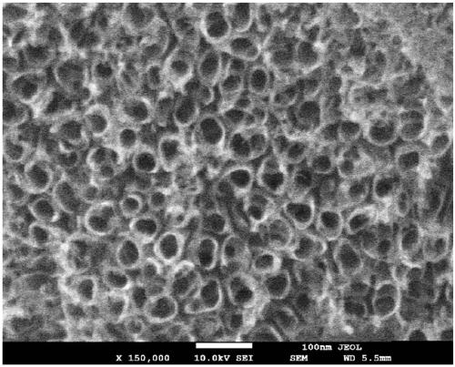 Co(OH)2/TiO2 nanotube array composite material and preparation method thereof