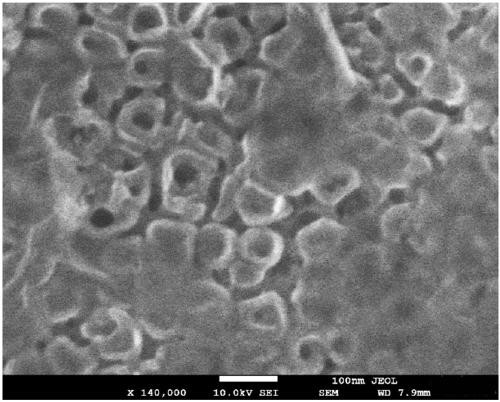 Co(OH)2/TiO2 nanotube array composite material and preparation method thereof