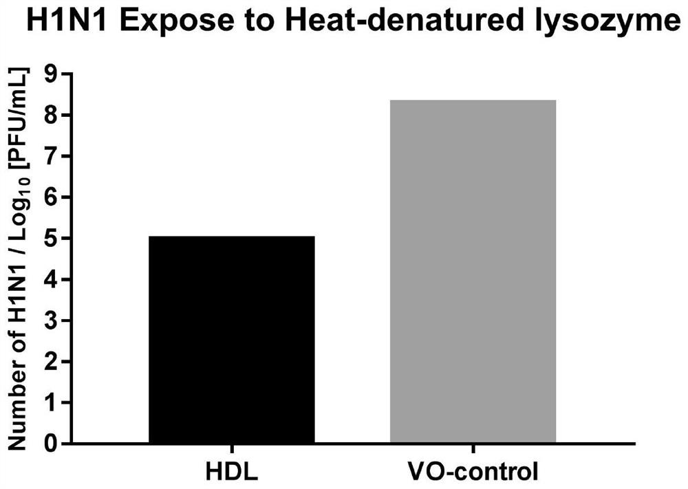 Preparation method and application of thermal denaturation lysozyme with anti-influenza A virus activity