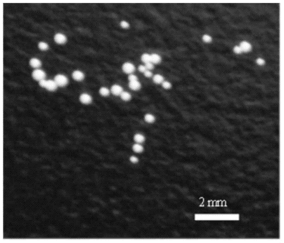 A preparation method of hollow titanium dioxide millimeter spheres composed of nanoparticles