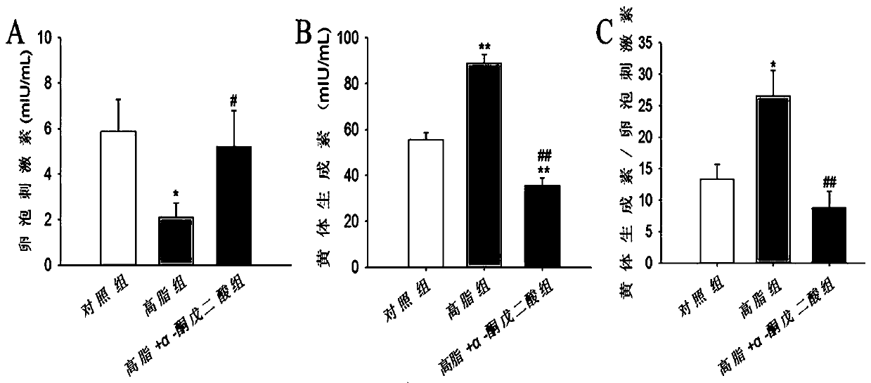 Application of α-ketoglutarate in improving animal reproductive function damage caused by high-fat diet