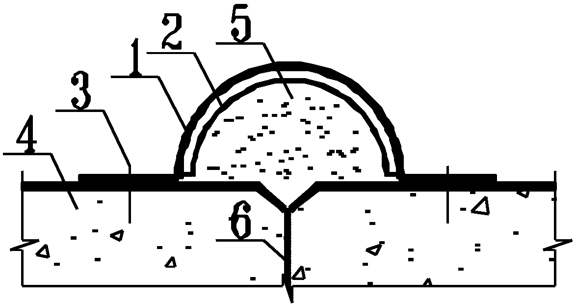 Faceplate dam crack repairing structure