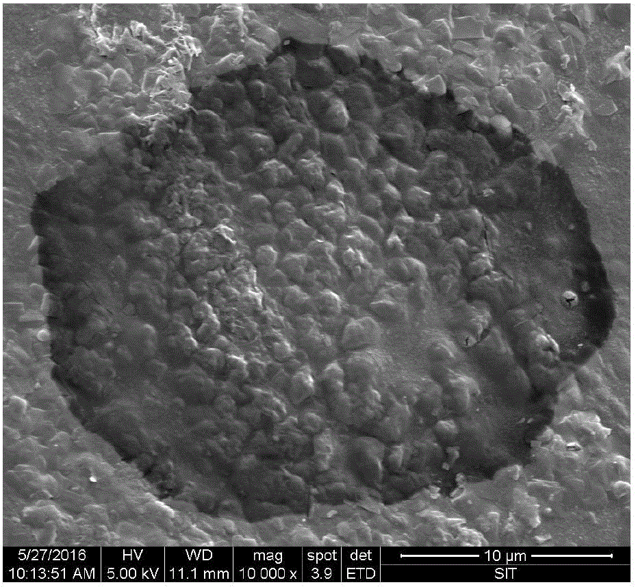 Preparation method of phosphate esterification bletilla striata polysaccharide