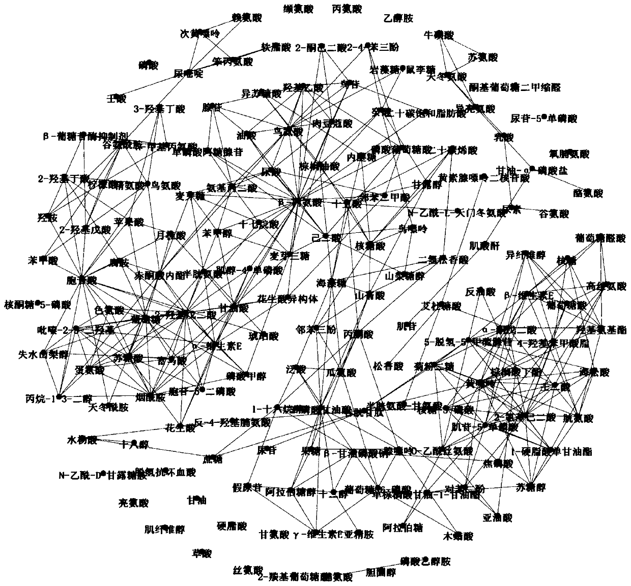 Metabonomics network marker identification method based on horizontal relation