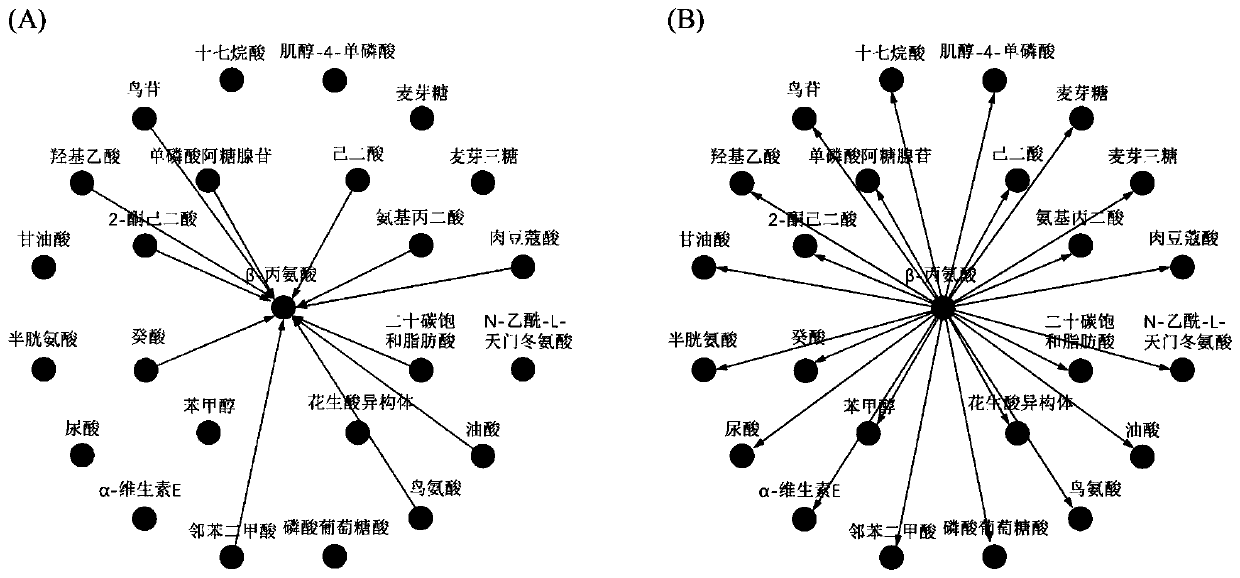 Metabonomics network marker identification method based on horizontal relation