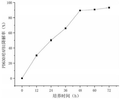 Method and device for degrading aflatoxin in spina date seeds