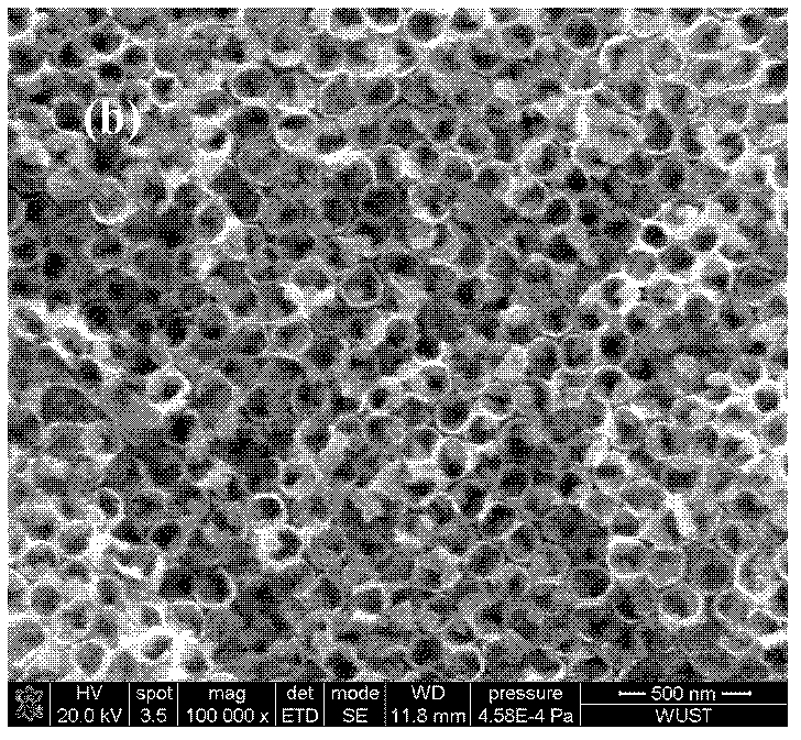 Titanium dioxide nanometer composite structure film and preparation method thereof