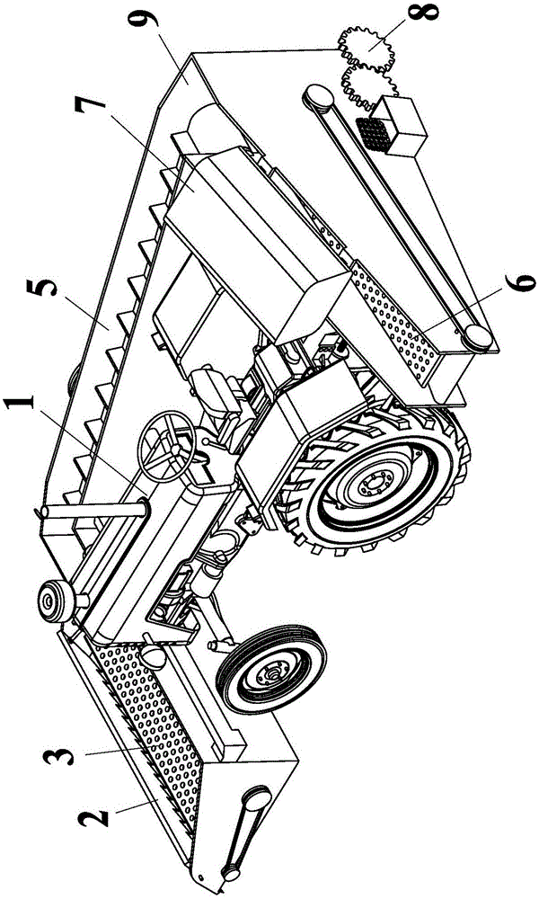 Automatic gynura segetum picking, screening, leaf-removing integrated machine