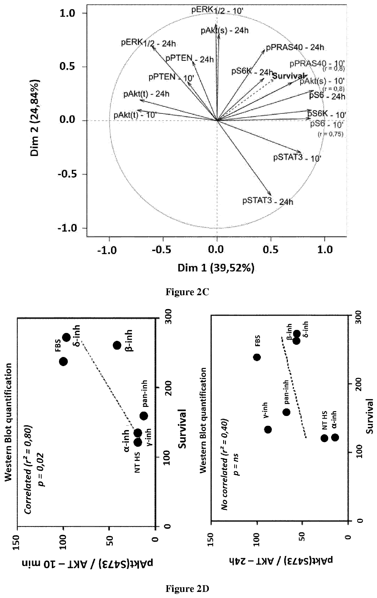 A new marker for predicting the sensitivity to pi3k inhibitors