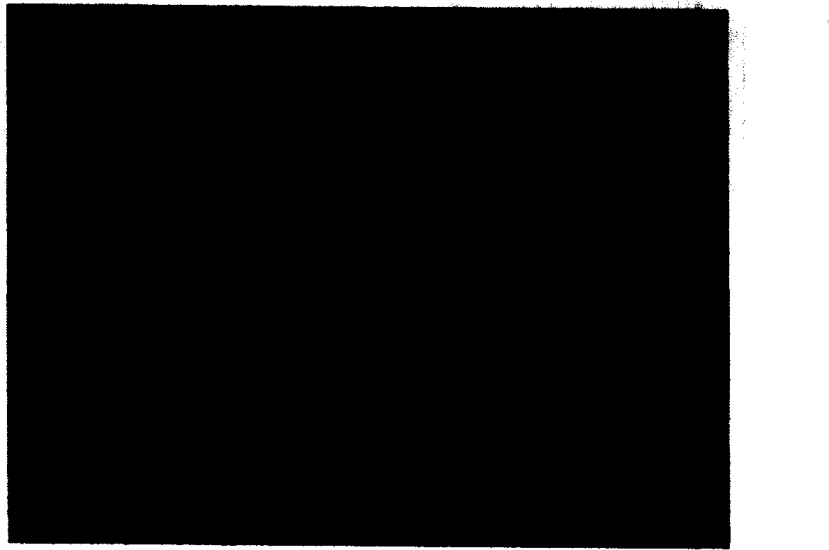 Method for producing lead zirconate-titanate thin film infrared thermal imaging detector hanging structure