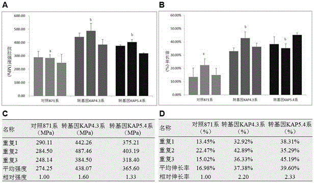Application of sheep KAP gene in mechanical property improvement and dyeing property improvement of natural silk, and recombinant expression vector of the KAP gene