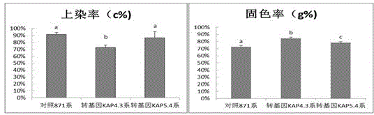 Application of sheep KAP gene in mechanical property improvement and dyeing property improvement of natural silk, and recombinant expression vector of the KAP gene