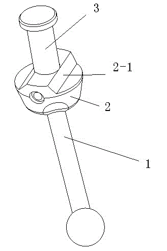 Cam locking device