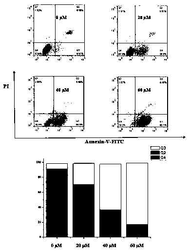 Porphyrin-chrysin compounds and anti-tumor activity thereof