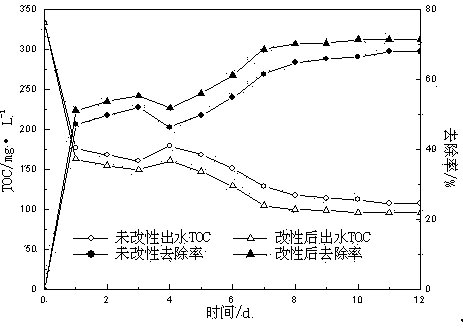 Preparation method of hydrophilic polymer-modified polyurethane foaming plastic carrier