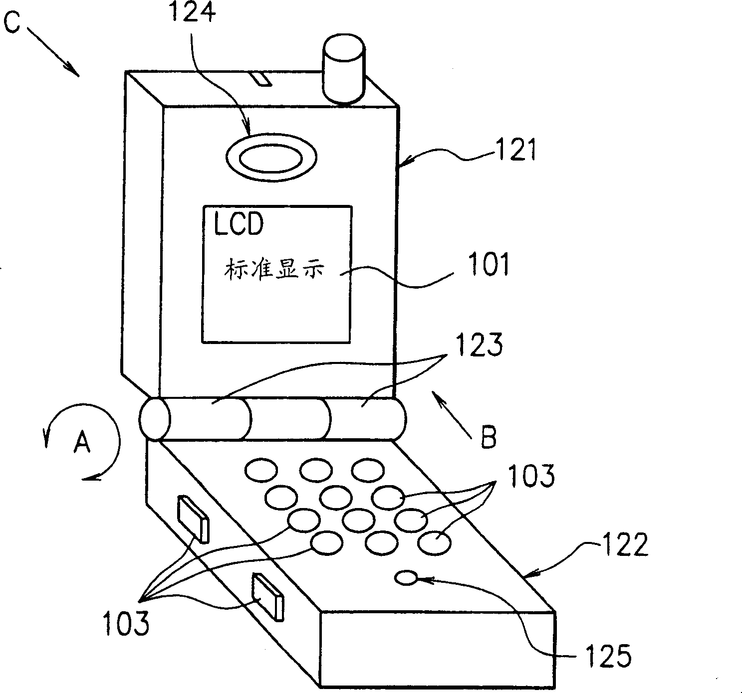 Electronic device with LCD