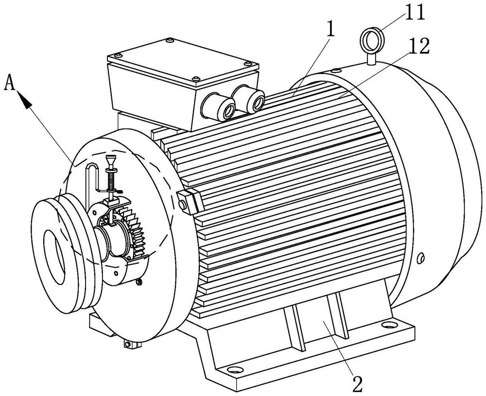 A motor and its motor shaft