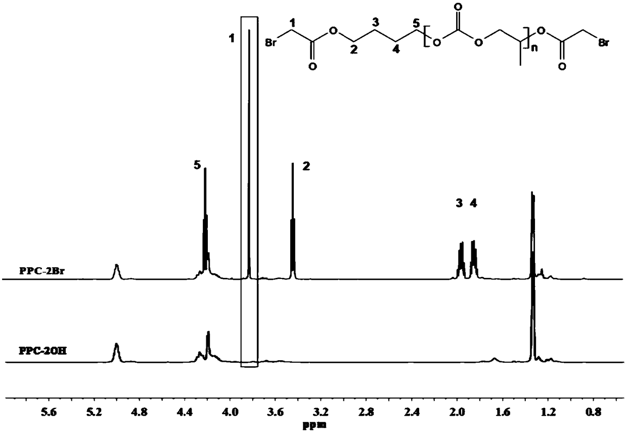 Method for preparing polyimide porous diaphragm