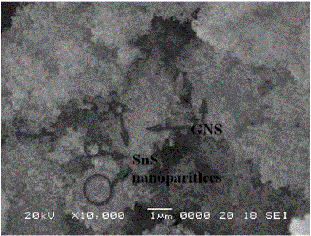 Tin sulfide-graphene oxide composite photocatalyst as well as preparation method and application thereof