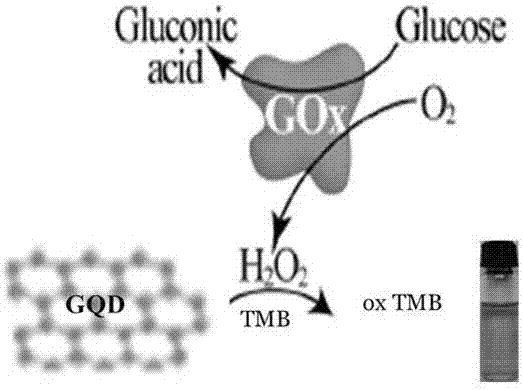 Glucose detection method based on peroxidase-like catalytic properties of graphene quantum dots