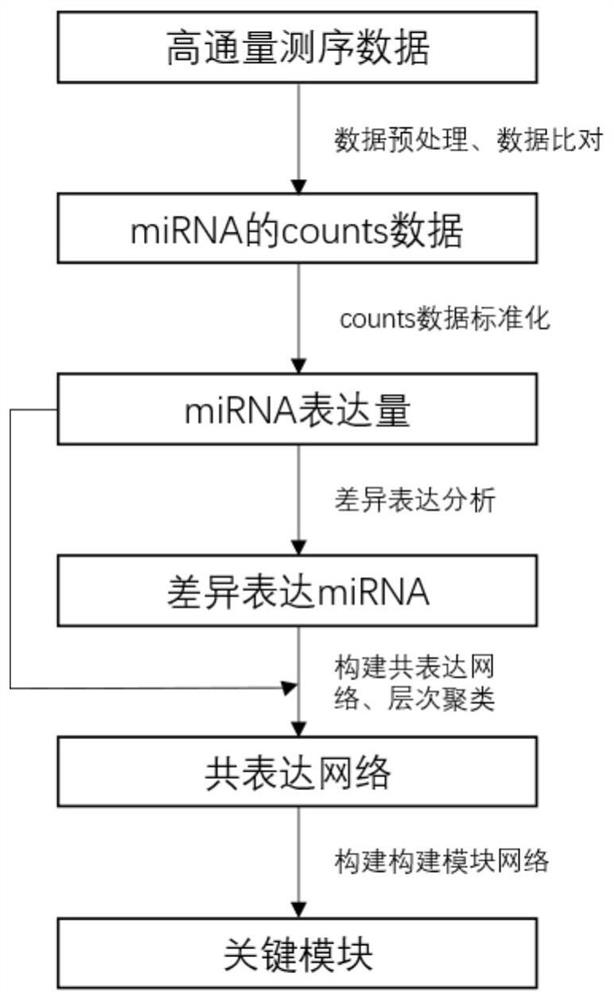 Parkinson disease evolution key module identification method based on miRNA sequencing data