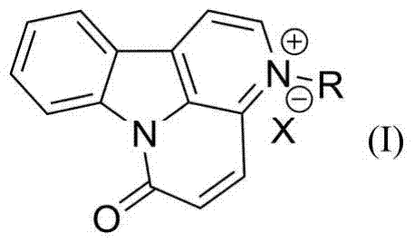 Iron feces rice-6-ketone quaternary ammonium salt and its preparation method and application