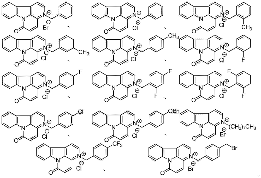 Iron feces rice-6-ketone quaternary ammonium salt and its preparation method and application