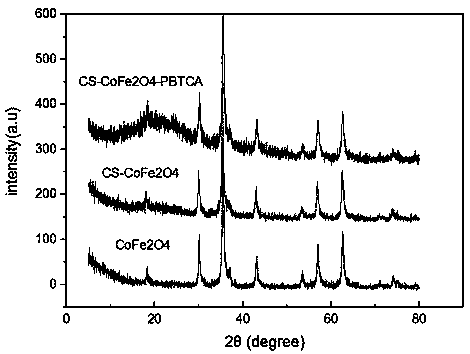Preparation method and application of amidation modified magnetic chitosan microspheres