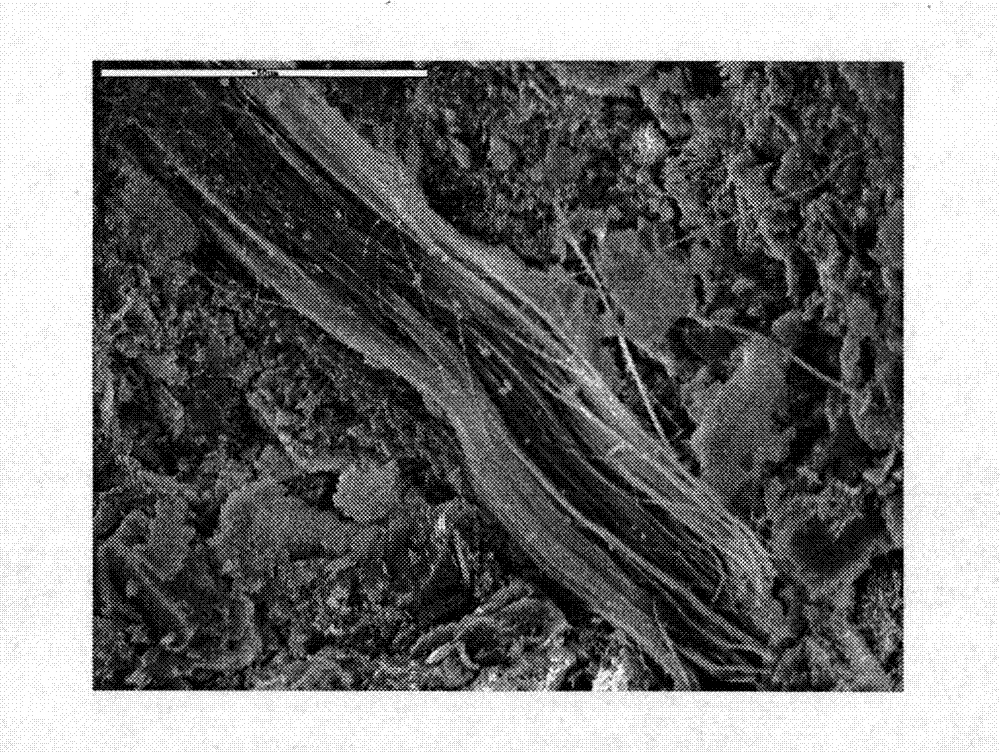 Brucite fiber paste used for toughening cement-based materials and preparation method thereof