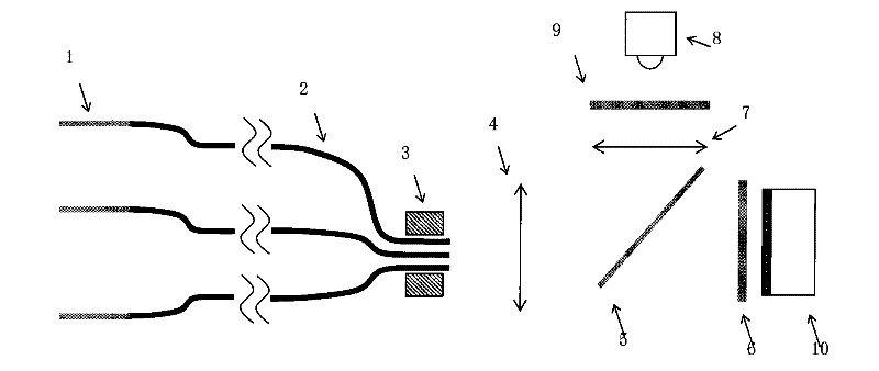 Minimally invasive multiple channel in vivo fluorescence signal real-time detection system and method