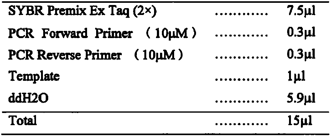 A cancer diagnosis chip and its kit