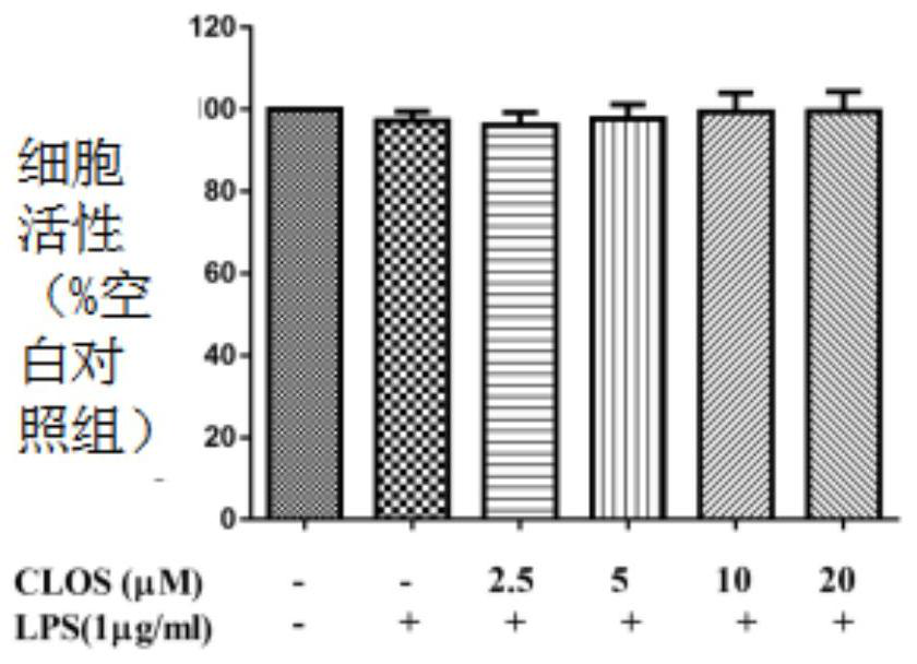 Application of pyrimidinedione compound as microsome prostaglandin E2 synthase inhibitor